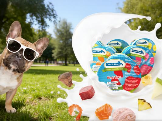 Heiße Tage, kühler Genuss: Frozen Joghurt für Hunde