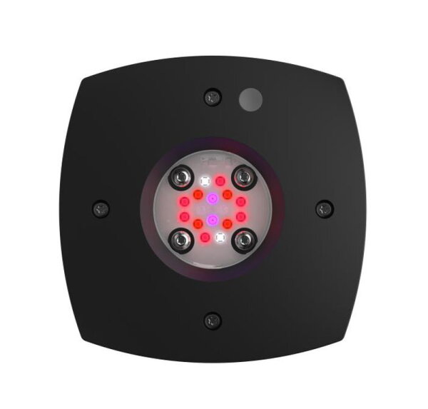 *Prime FUGE schwarz (Refugiumleuchte)
