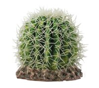 HOBBY Kaktus Sonora M