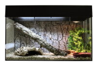 Lucky Reptile Starter Kit 80 cm "Schlange" schwarz