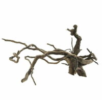 HOBBY Fingerwood L dark