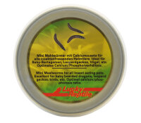 Lucky Reptile Herp Diner Mini Mealworms 35g