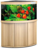 JUWEL Trigon 350 LED helles Holz Kombination