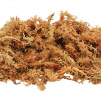 Lucky Reptile Sphagnum Moss Ziegel 100 g