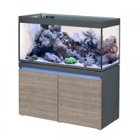 EHEIM Incpiria 430 Reef graphit/rustik oak
