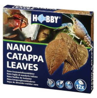 HOBBY Nano Catappa Leaves 12Stk.