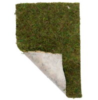 HOBBY Terrano Moos 100 g