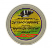 Lucky Reptile Herp Diner Snails 35g