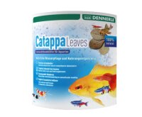 *Dennerle Catappa Leaves, 10 Stück