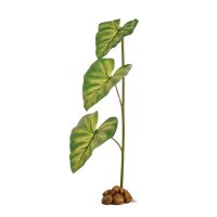 Dripper Plant mit Pumpe - large