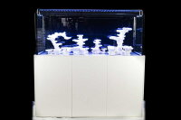 ReefTank Classic, 4 Modelle 216-540 Liter