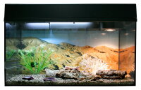Lucky Reptile Starter Kit 80 cm "Leopardgecko"...