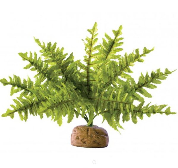 AquaCare: Edelstahlpinzette 60 Cm