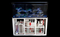 ReefTank Exklusiv mit AP-Filteranlage, 4 Modelle 216-540...