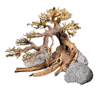Dennerle Decor Box Bonsai