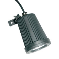 *Lucky Reptile Jungle Lamp