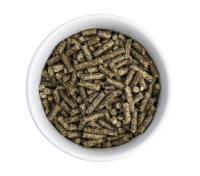 Bunny Health ProDental 800g