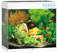 JUWEL Lido 120 LED weiß Aquarium
