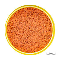 JBL Pronovo Bits Grano M 1L