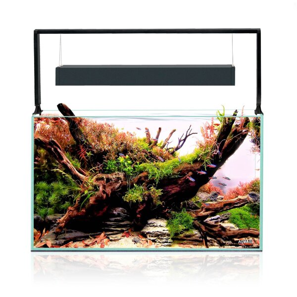 Aquael UltraScape 60 Aquarium Forest/Snow