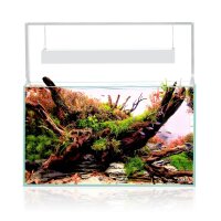 Aquael UltraScape 60 Aquarium Forest/Snow