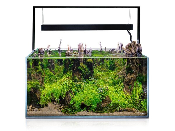 Aquael UltraScape 90 Aquarium Forest/Snow
