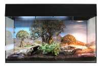 Lucky Reptile Starter Kit 80 cm...