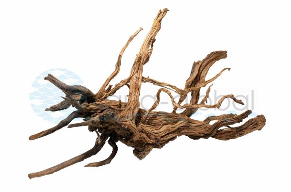 Aqua Global Curl Wood Groß ca. 50-60 cm