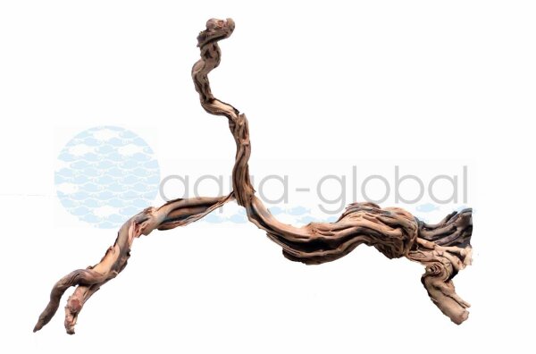 Aqua Global Curl Wood M ca. 40-50 cm