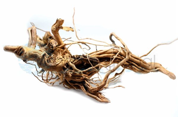 Aqua Global Curl Wood XL