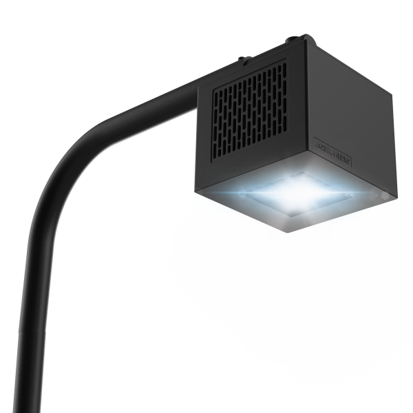Qube 60.2