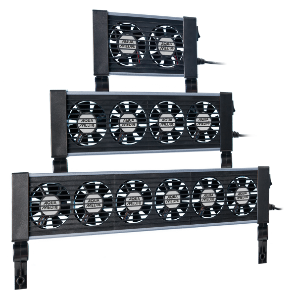 arctic breeze 2, 4 oder 6-pack