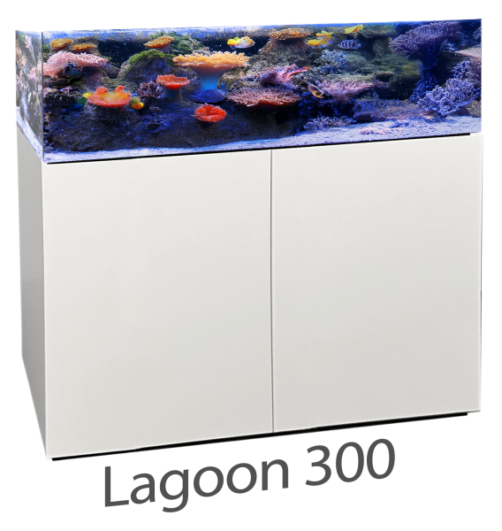 Armatus Lagoon