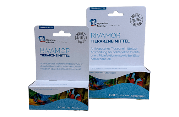 Rivamor 20ml