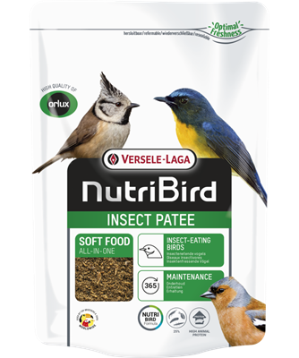 Insect Patee 1kg