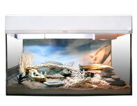 Lucky Reptile Starter Kit 80 cm "Bartagame"...