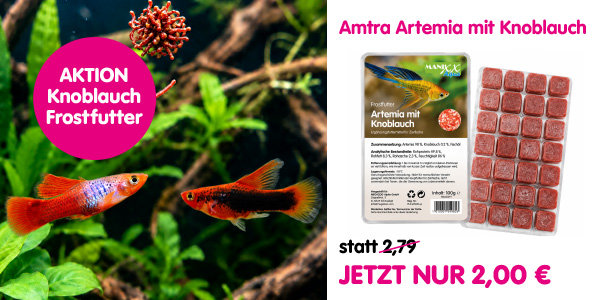 Aqua_Angebot_ArtemiaKnoblauch_Megazoo-Sommeraktion_2026.jpg