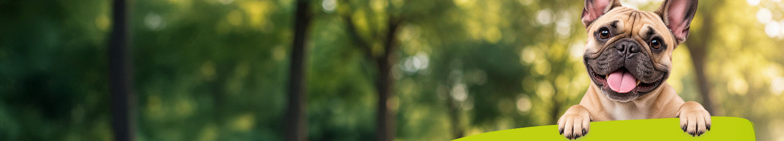 Banner_TagdesHundes2026.jpg
