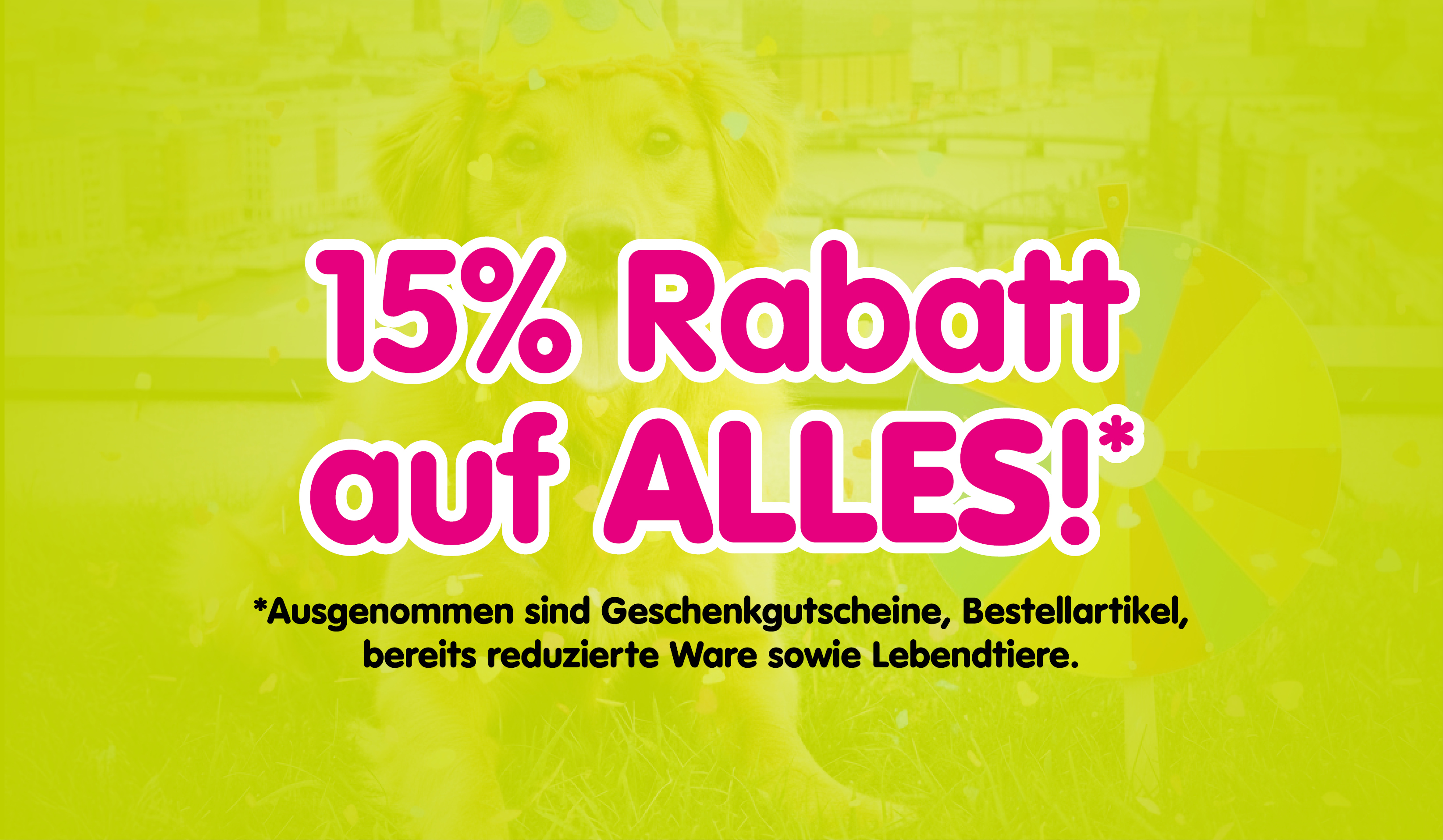 Banner_Wir-feiern-Geburtstag_15aufALLES_790x460px.jpg