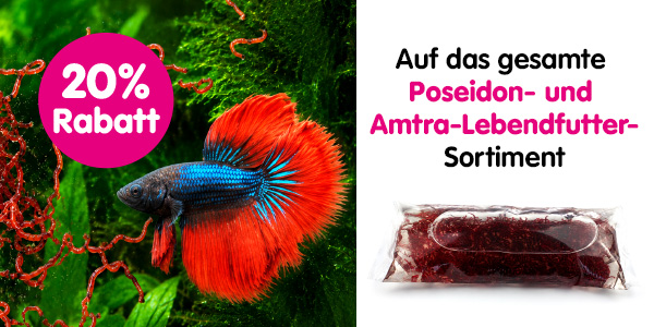 Lebendfutter_Megazoo-Sommeraktion_2026.jpg