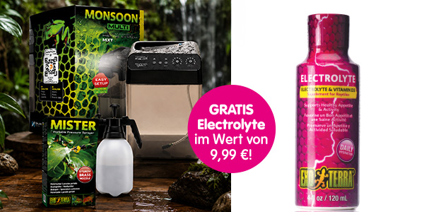 Terra_BeregungsanlageoderSprhflasche_Megazoo-Sommeraktion_2026.jpg