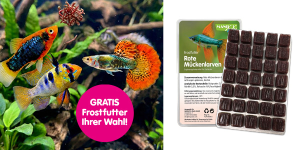 Zierfische_Megazoo-Sommeraktion_2026.jpg