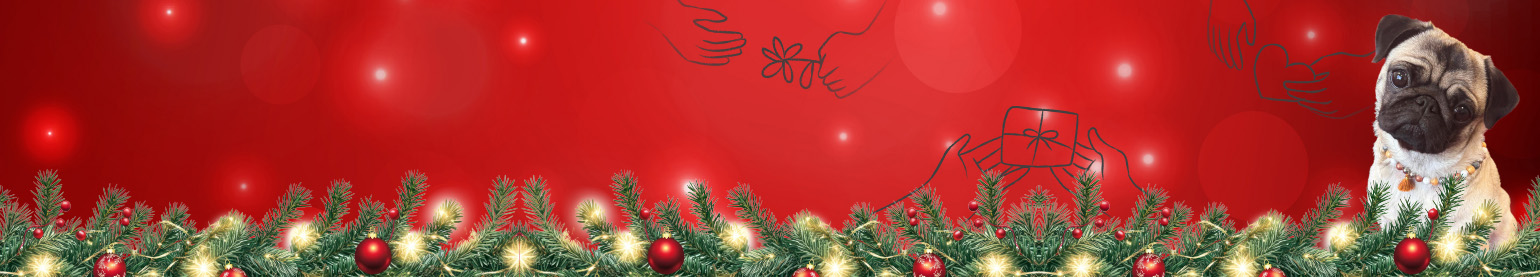 Banner_2025-Spendenaktion_ChariteKrebsstation.jpg