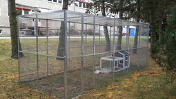 csm_kita_meerschweinchen1_be6b1f7dda.jpg