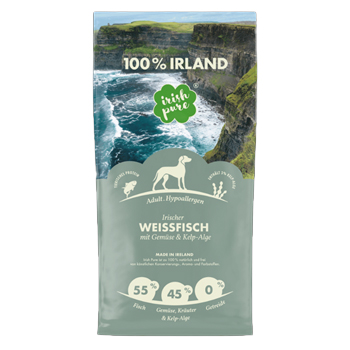 Hund_IrishPure_Weifleisch-Gemse_1.jpg