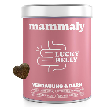 Hund_Mammaly_1.jpg