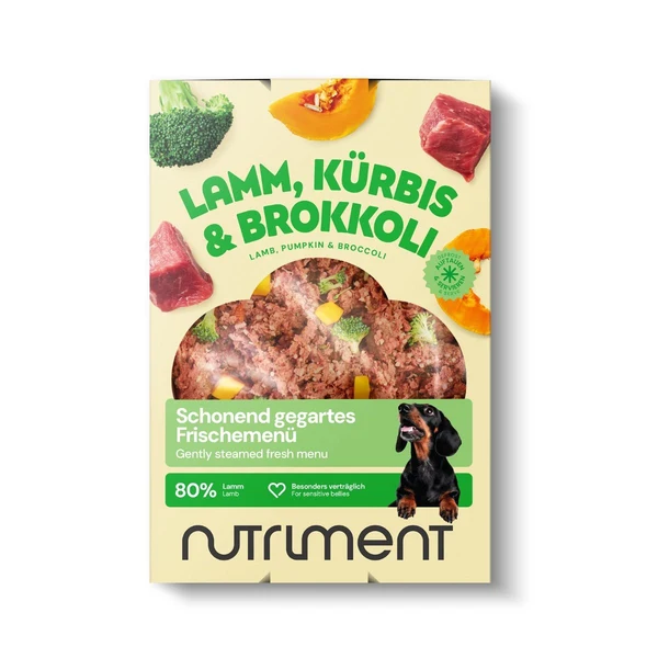 frischemenu-8840698.webp