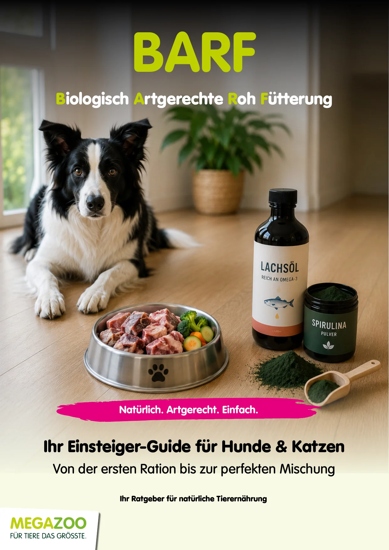 BARF Einsteiger-Guide für Hunde und Katzen – Biologisch Artgerechte Rohfütterung bei MEGAZOO