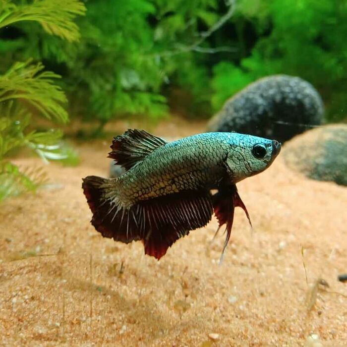 csm_2021-10-05_betta_im_nova_4_3dd42a3a58.jpg