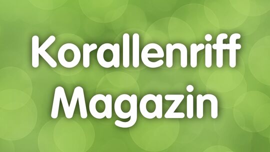 csm_terminal_korallenriff_magazin_3f336f50ce.jpg